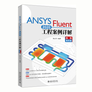 ANSYSFluent2020̰Ԕ⣨ҕl̳̰棩