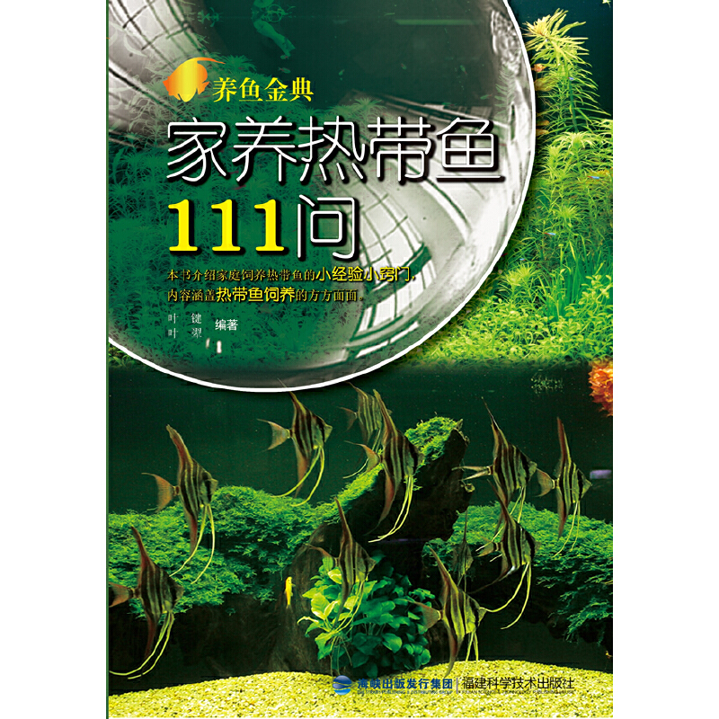 B(yng)~䡪B(yng)Ꭷ~11150ꡰ~g_B(yng)~гy}