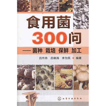 ʳþ300--Nr ӹ